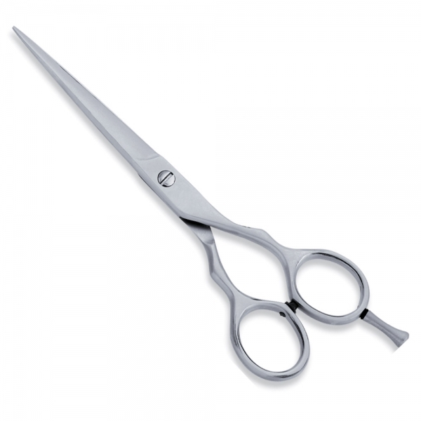 Economy Scissor